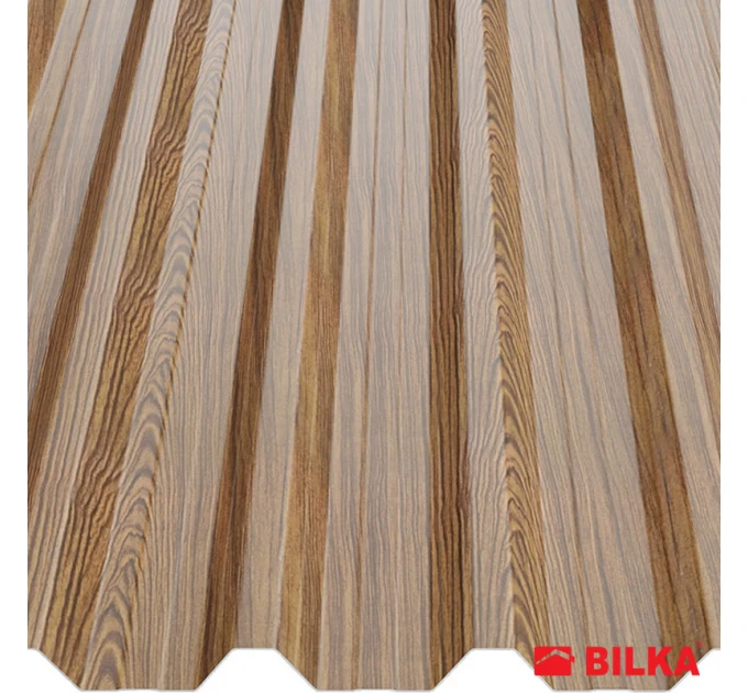 Profiled sheet metal T45 Wood